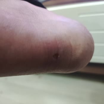 Lumberjack Kasaba Mağazasından Şikayetçiyim