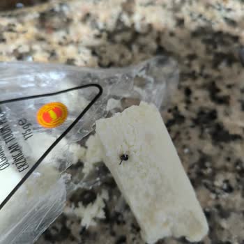 Getirden Mandıradan Peynir Siparişi