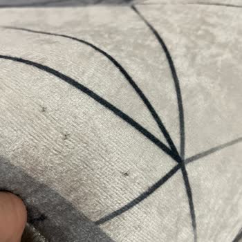 Yeni Aydın Halı Yıkama Halı Yıkama Hizmeti Değerlendirmesi