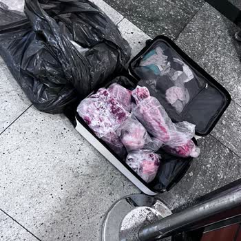Pegasus Hava Yollarının Bagaj Sorumsuzluğu Ve Zarar Tazmini