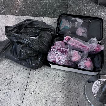 Pegasus Hava Yollarının Bagaj Sorumsuzluğu Ve Zarar Tazmini