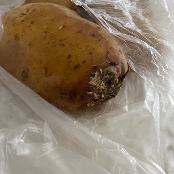 Migros Ürün İadesi İçin Geri Dönüş Yapılmıyor
