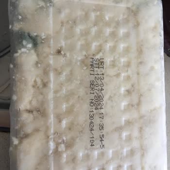 Kuzucu Süt Ürünleri Kuzucu Marka Peynir Buzdolabında Küflendi!