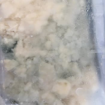 Kuzucu Süt Ürünleri Kuzucu Marka Peynir Buzdolabında Küflendi!