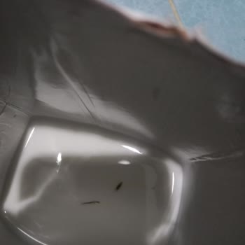 Pınar Su ve İçecek Çocuk Devam Sütünde Yabancı Cisim Şikayeti