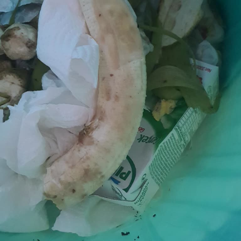 Yemek Sepeti Market Siparişim 27 Haziran 2024