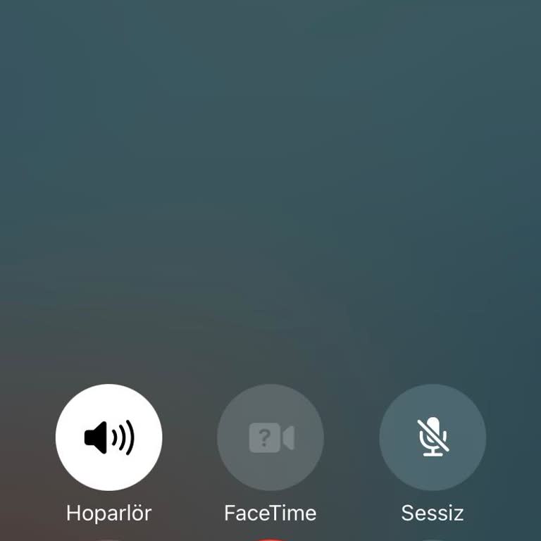 KFC Müşteri Hizmetleri Ve Sipariş Hk.