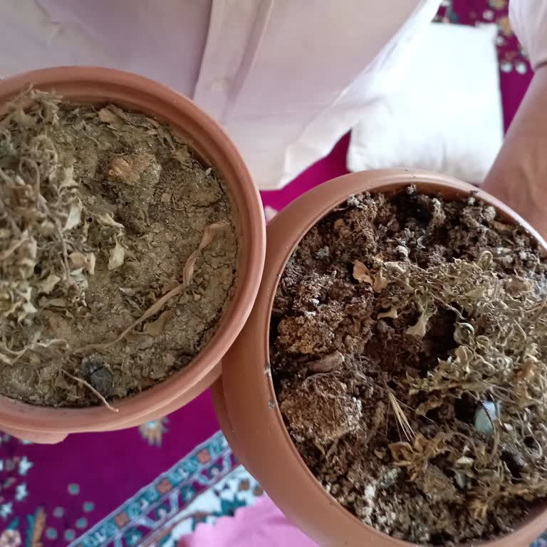 BİM Aldığım Ürünün Erken Bozulması