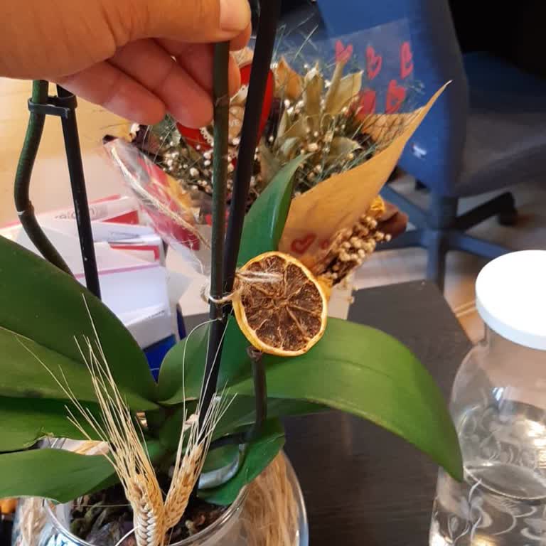 ÇiçekSepeti Çiçek Sepetinden Sipariş Ettiğim Orkidenin Bir Dalı Kırık