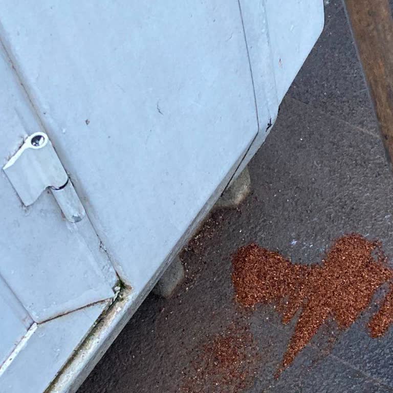 Sarıyer Belediyesi Simit Tezgahı Sorunu