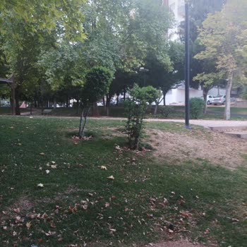 Şehitkamil Belediyesi Park Bakımı Hakkında