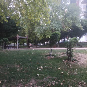 Şehitkamil Belediyesi Park Bakımı Hakkında