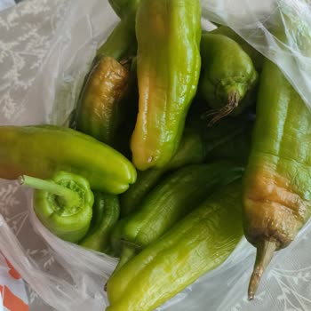 Migros'tan Aldığım Ürünler Hasarlıdır Dönüş Olmamaktadır