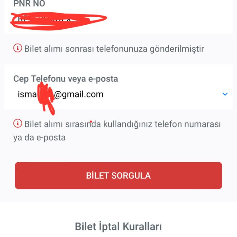 Obilet Skandalı; Turizm Şirketi İngilizce Cevap Vermiyor!