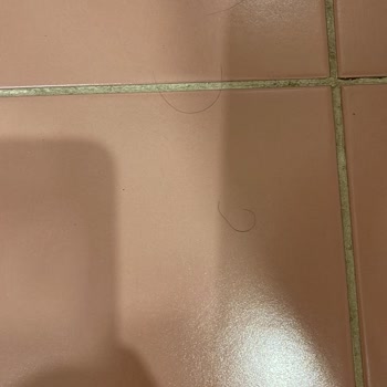 Çayyolu Ev Temizliği Şirketinden Memnun Kalmadım!