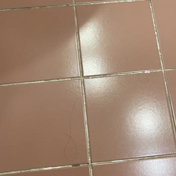 Çayyolu Ev Temizliği Şirketinden Memnun Kalmadım!