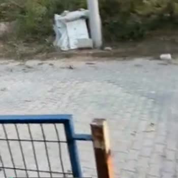 Kocaeli Büyükşehir Belediyesi Yol Kirliliği
