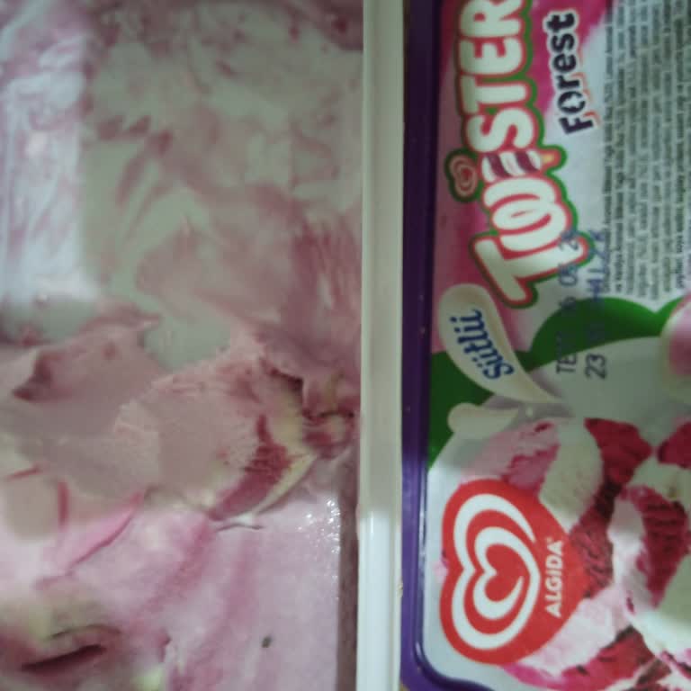 Algida Dondurmadan Kurt Çıktı