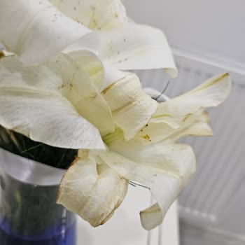 Çiçek Sepeti Çürümüş Çiçekler