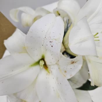 Çiçek Sepeti Çürümüş Çiçekler