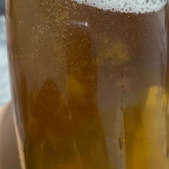 Hamilelikte Yaşanan Fuse Tea Sorunu