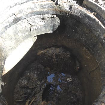 ABB - Ankara Büyükşehir Belediyesi Logarın Bulunduğu Yola Asfalt Yapılması