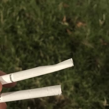 Philip Morris Parliement Firmasının Uğrattığı Hayal Kırıklığı