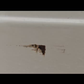 Arçelik Ürünlerinde Pas Ve Servis Sorunları