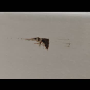 Arçelik Ürünlerinde Pas Ve Servis Sorunları