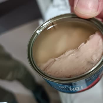 Superfresh Konserve Ton Balığı Kutunun Yarısında
