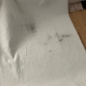 Ak Temizlik (Kastamonu) Kastamonu Ak Temizlik Halı Temizlemeden Eve Gönderiyor