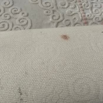 Ak Temizlik (Kastamonu) Kastamonu Ak Temizlik Halı Temizlemeden Eve Gönderiyor