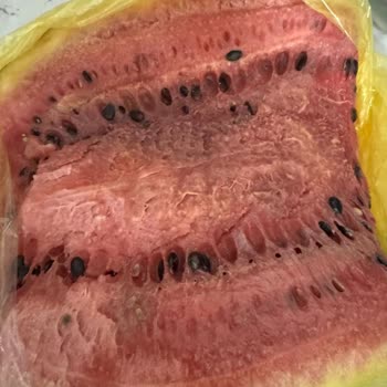 Arçelik Buzdolabı Pişmanlık Oldu