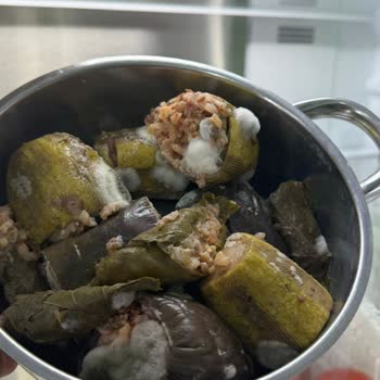 Arçelik Buzdolabı Pişmanlık Oldu