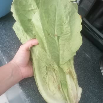 Getir Büyük Ürünleri Çok Kötü