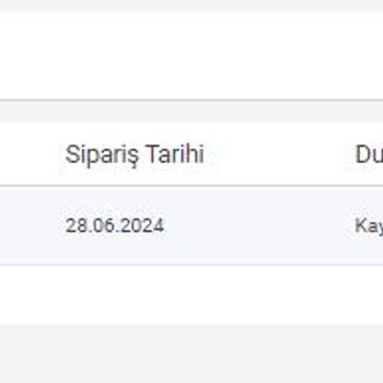 Natro Hosting Ödenen Domain Kaydının Sorunları
