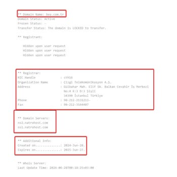 Natro Hosting Ödenen Domain Kaydının Sorunları