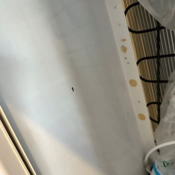 N11. COM'UN Kırık Ve Bozuk Ürünü İade Almaması Sorunu