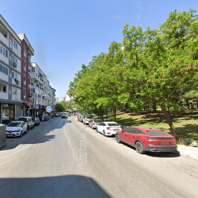 Bornova Belediyesi Hamam Böcekleri'nin Fazla Olması Ve Rahatsız Etmesi