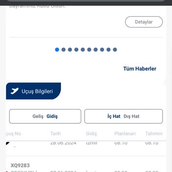 Sunexpress 9 Saat 20 Dakikalık Rötar