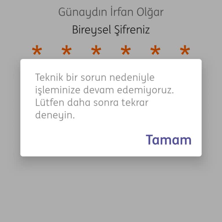 ING İnternet Bankacılığına Giriş Yapamıyorum