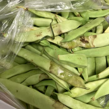 Migros Sanal Çürük Ürün Gönderimi