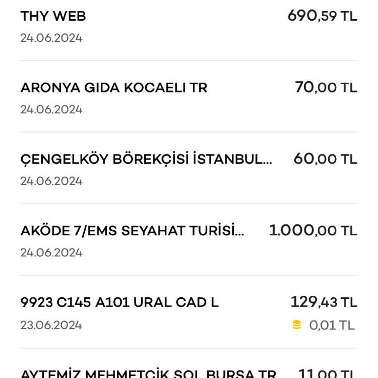 THY Nin Fazla Para Alması