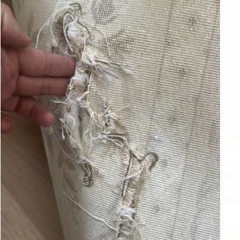 Başak Halı Yıkama (Bakırköy) Halı Yıkama Hizmetinde Yaşanan Sorunlar