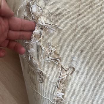 Başak Halı Yıkama (Bakırköy) Halı Yıkama Hizmetinde Yaşanan Sorunlar