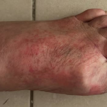 Sportive İnsan Haklarını İhlal Ediyor