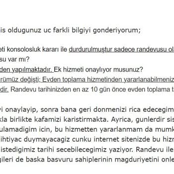 VFS Global Web Sitesi Çalışmıyor