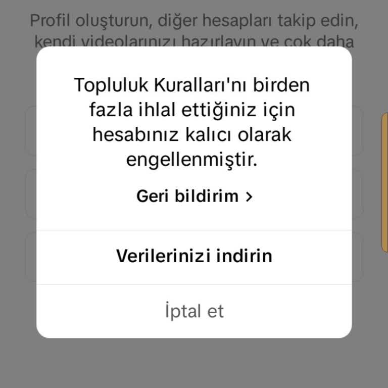 TikTok Hesaplarım Durduk Yere Kapandı