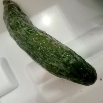 Profilo Yeni Aldığım 4 Aylık Dolabım Bozuk