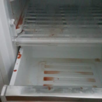 Hasarlı Gelen Vestel Derin Dondurucu Yerine Yeni Bir Ürün Gelmesi